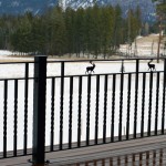 Custom Design Wrought Iron Railings