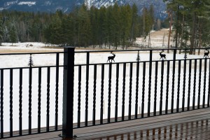 Custom Design Wrought Iron Railings