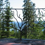 iron-railing-decorative-vine-natural