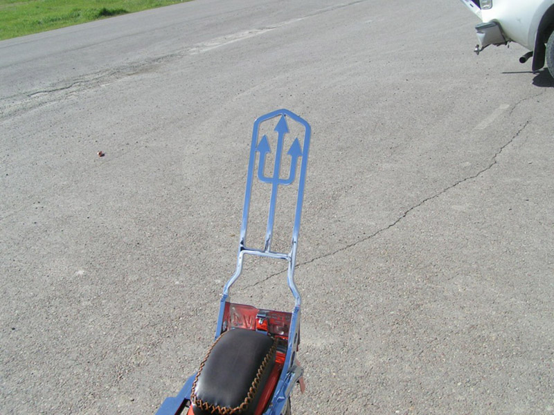 harley custom sissy bar